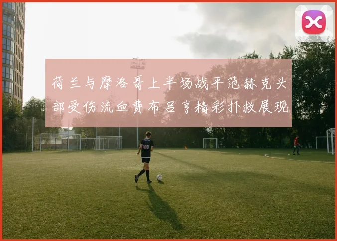 荷兰与摩洛哥上半场战平范赫克头部受伤流血费布吕亨精彩扑救展现实力