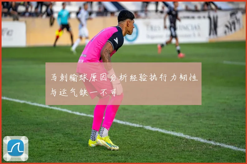 马刺输球原因分析经验执行力韧性与运气缺一不可